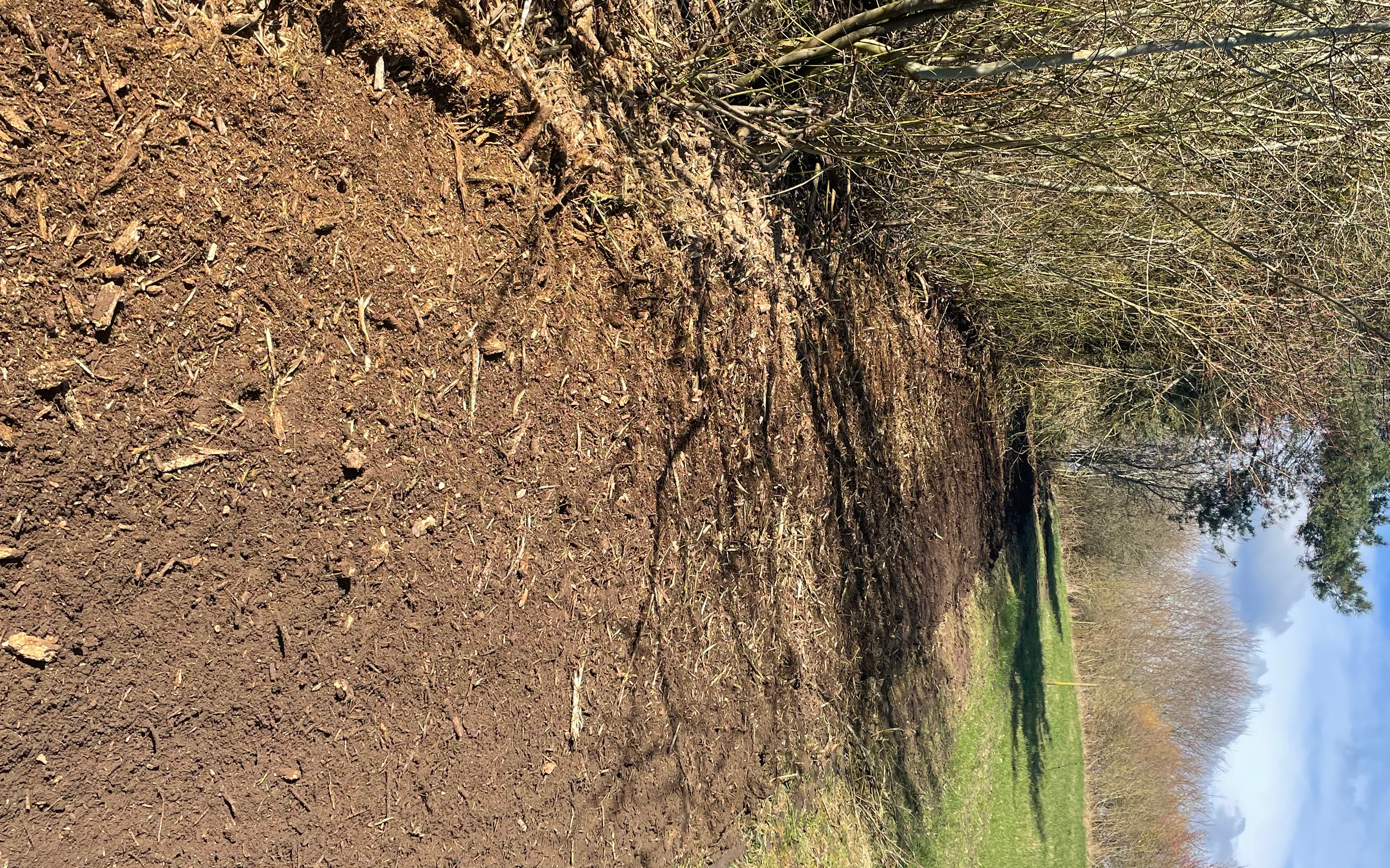 Grønnegården v. simon k. sørensen med Knuser ved Odder