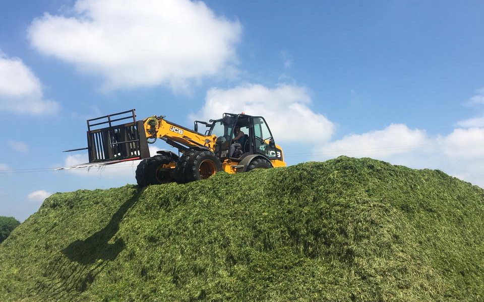 Mckenzie brooker contracting  with Wheel loader at Oxford