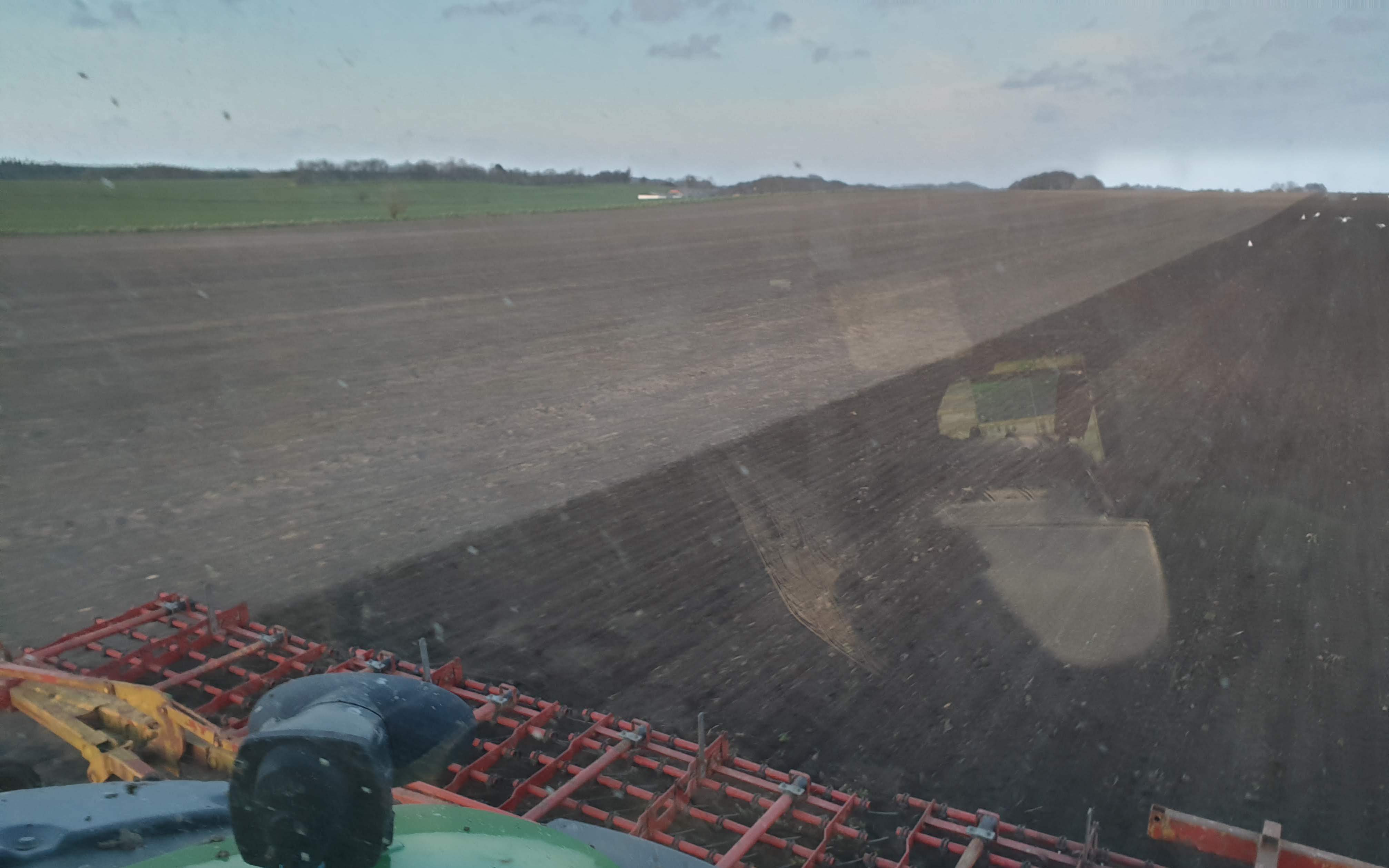 Hummeluhr planteavl med Strigle ved Suldrup