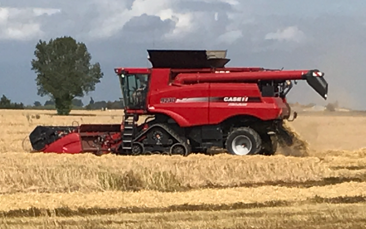 I/s døjlergaard med Mejetærskning ved Øster-Ulslev