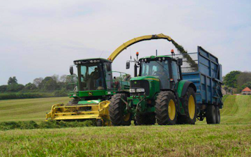 Cracknell contracting  with Forage harvester at Tidenham Chase