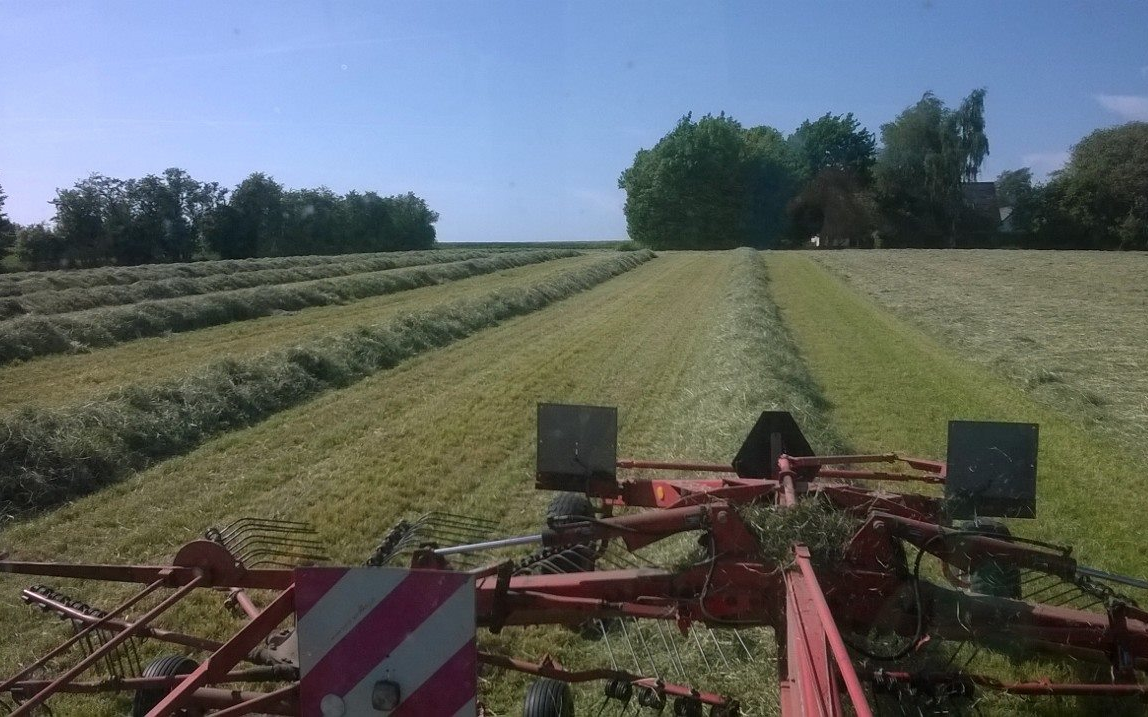 Lillevang med Samler ved Vejle