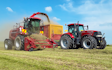 Grain & food limited with Forage harvester at Gordonton
