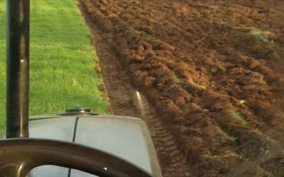 Mib contracts  with Plough at Portglenone