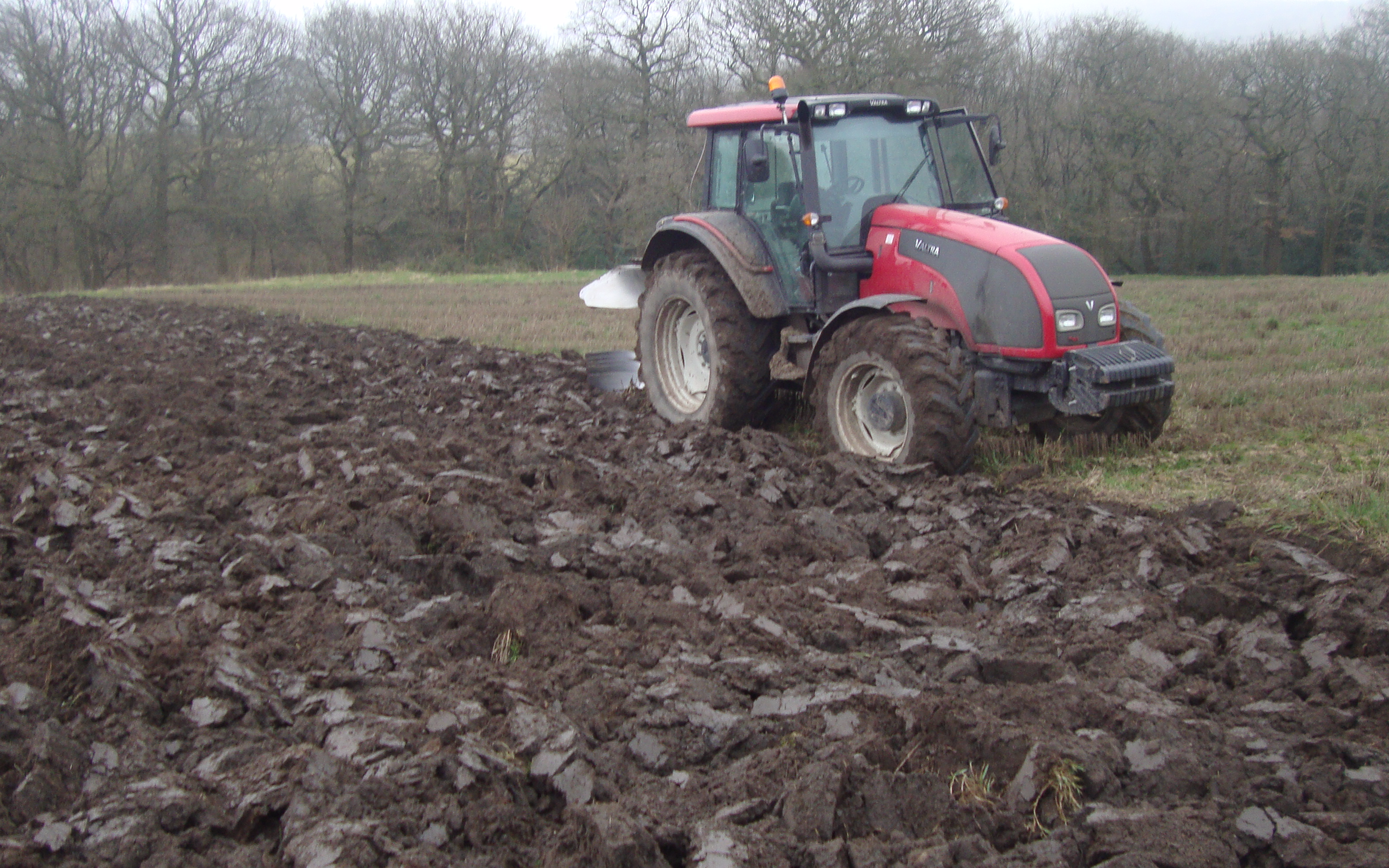 Hazlehurst brothers with Livestock contracting at Adlington