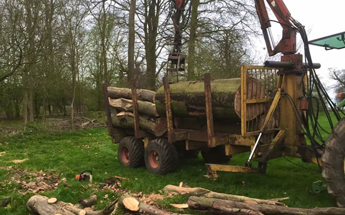 Oliver berti forestry and firewood  with Forwarder at Park Gate