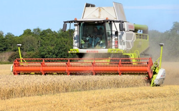 Gdp agricultural contracting with Combine harvester at Presteigne