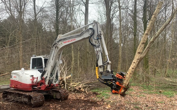 Avlund skov & natur med Skovning/beskæring ved Ringsted