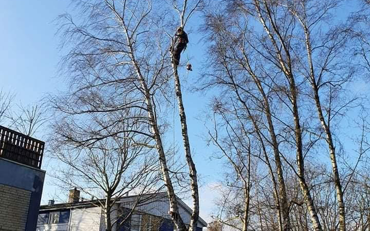 Mj have og anlæg  med Udkørsel/Udslæbning ved Mørkøv