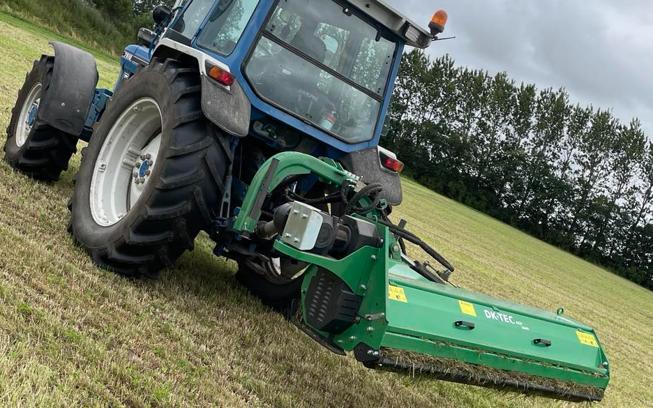 Marktech med Brakpudser ved Janderup Vestj