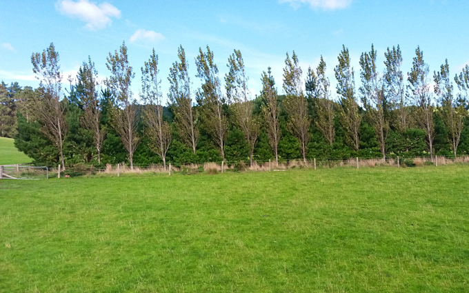 Tararua hedge cutting ltd. with Hedge cutter/mulcher at Mangatainoka