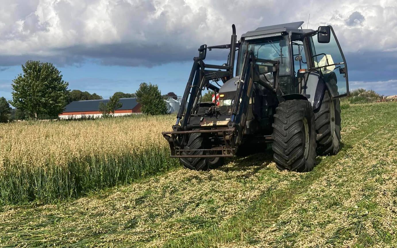 Mn multiservice med Traktor med frontlæsser ved Ryomgård