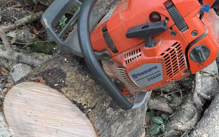 Spencer & sons agricultural services with Chain saw at Totnes