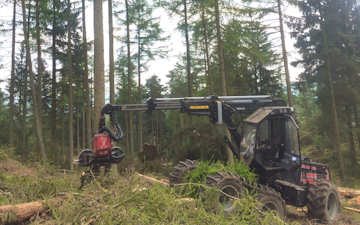Askew forestry with Forestry harvester at Lawkland