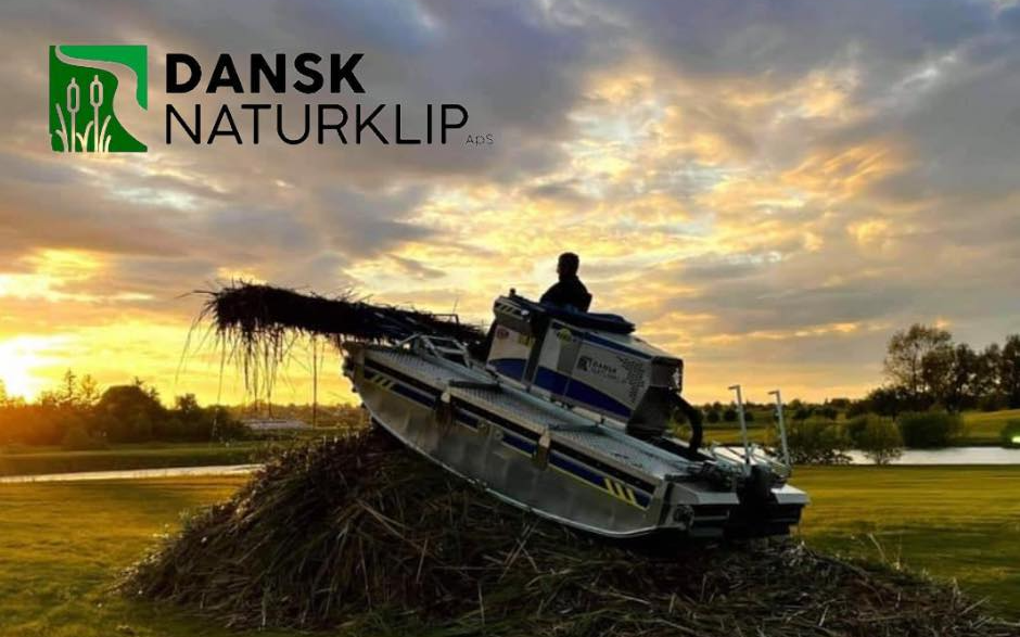 Dansk naturklip med Grødeskærer ved Rødding