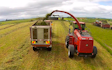 Grain & food limited with Forage harvester at Gordonton