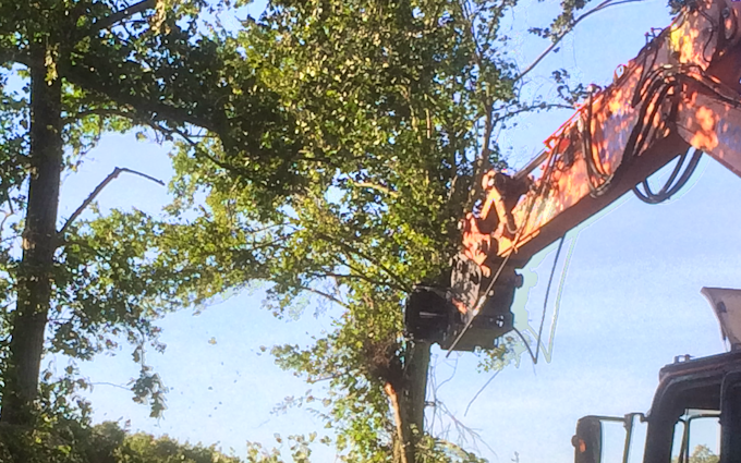 Bennett's contracting with Hedge cutter at United Kingdom