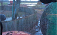 Bjerndrup maskinstation med Sortjordsnedfælder ved Bramming