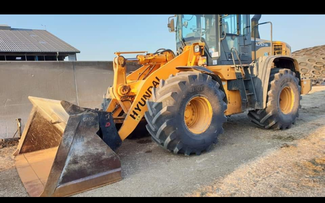 Herluf pedersen  med Gummiged ved Ølgod