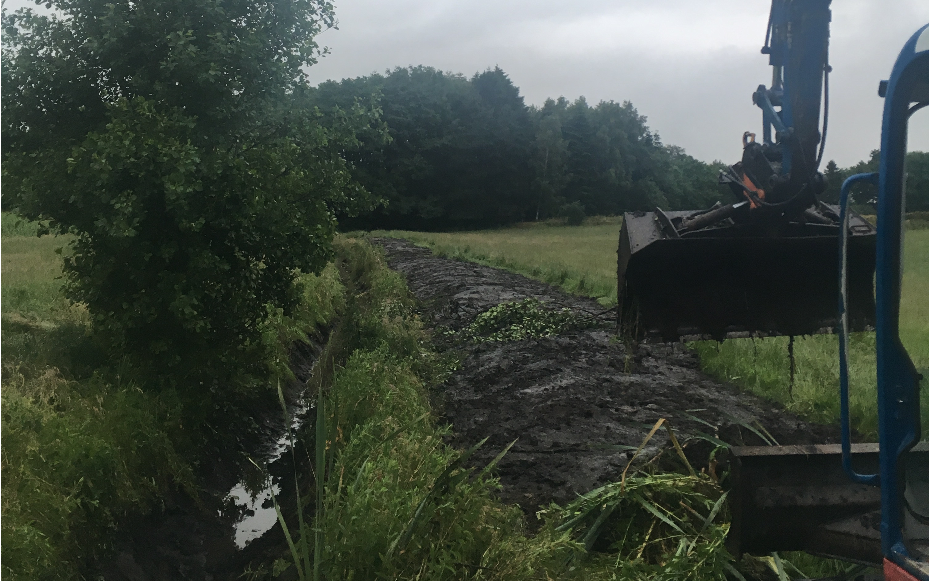 Nielsen dairy consult aps  med Gravemaskine ved Holmegaard