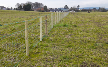 Jonathan livingstone  with Fencing at Lislasly Road