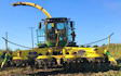 Powells contracting  with Forage harvester at Hay-on-Wye