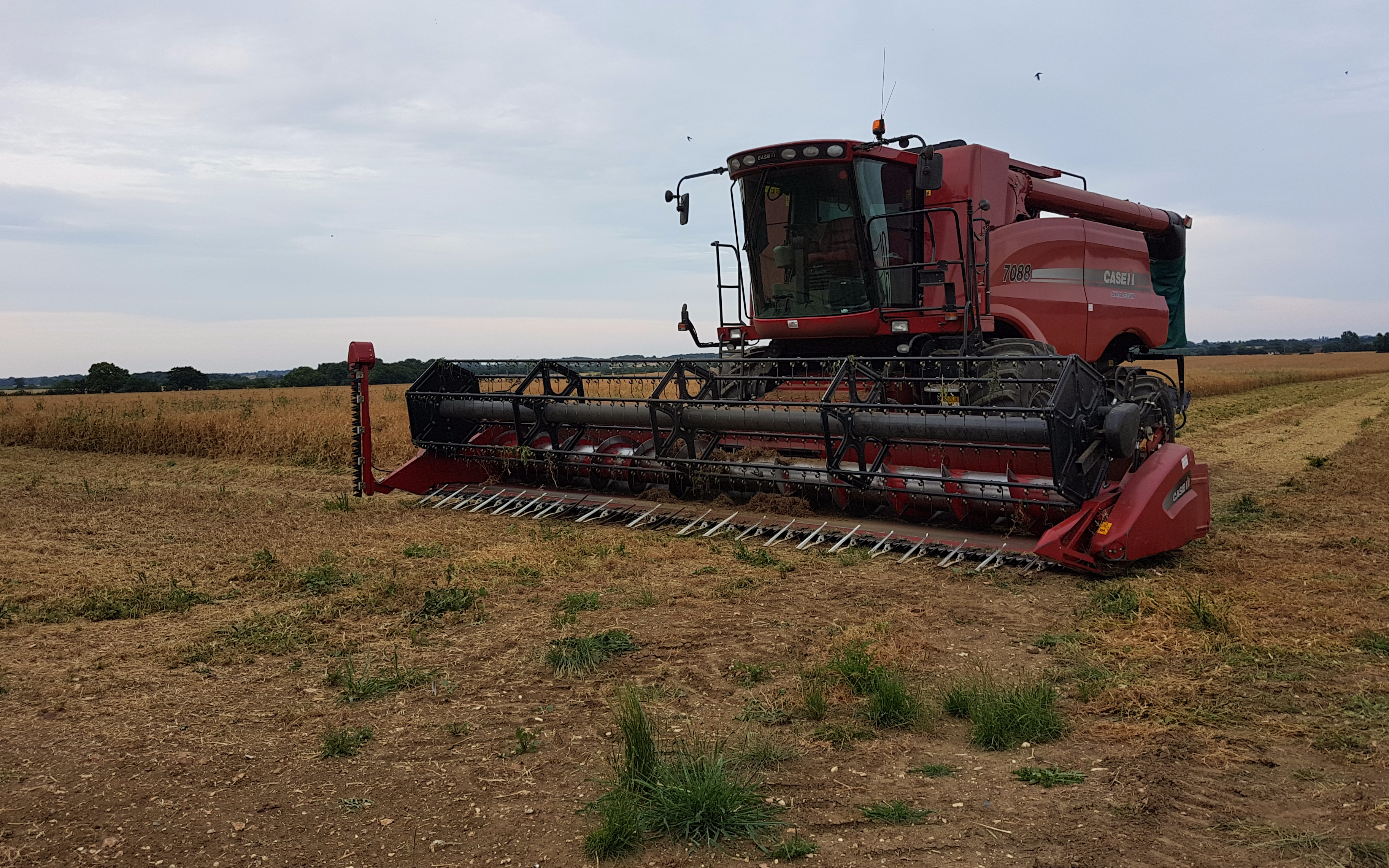 Aldburys farm contracting  with Combine harvester at United Kingdom