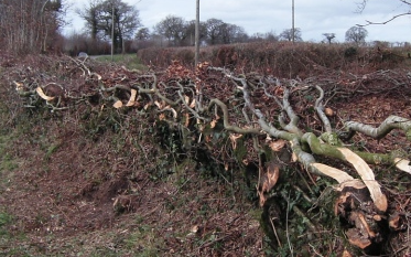 E c shere contracting  with Hedge cutter at United Kingdom