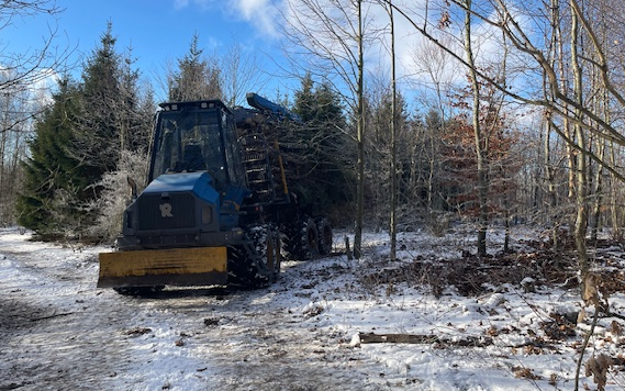 Avlund skov & natur med Udkørsel/Udslæbning ved Ringsted