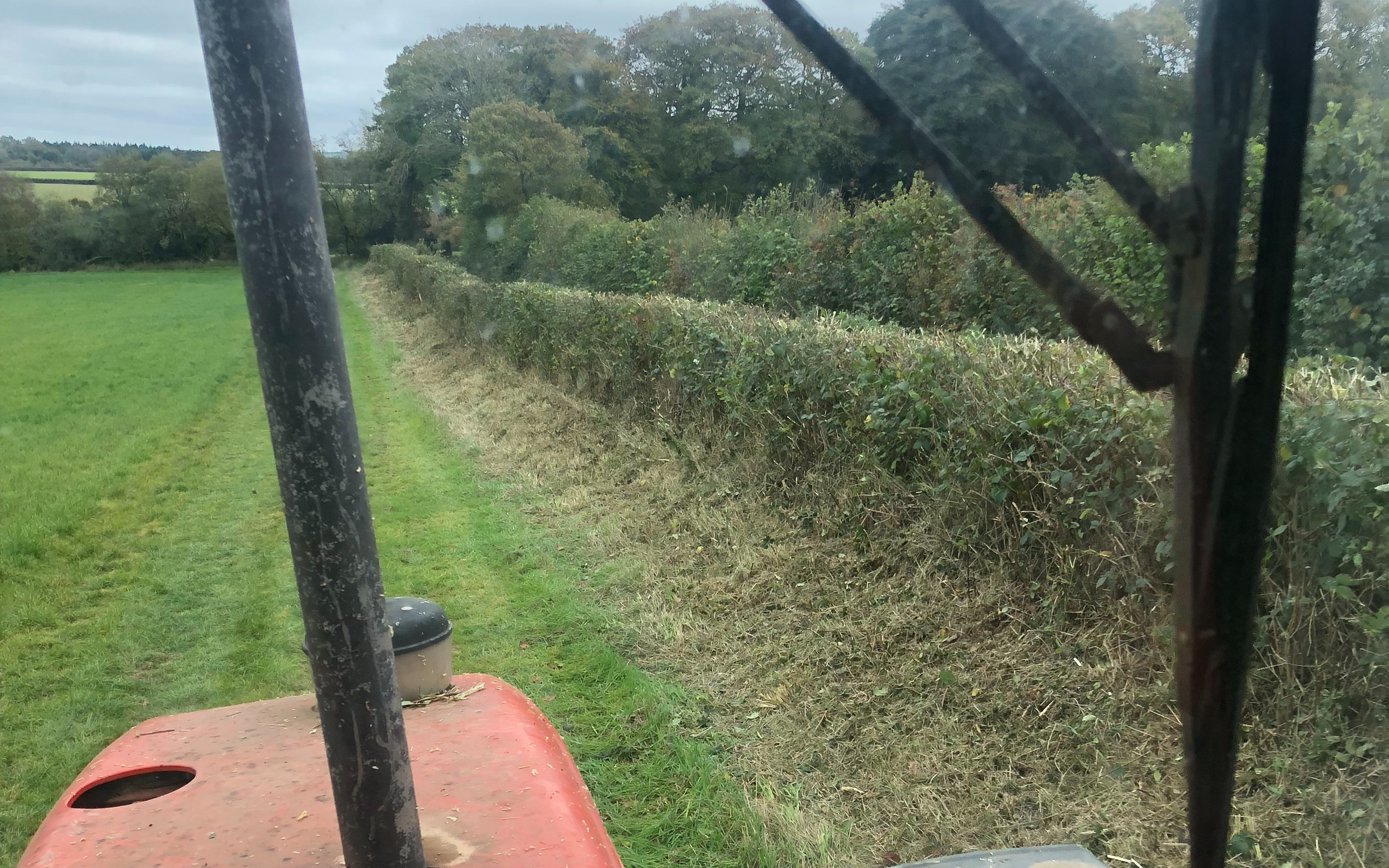 Jb plant with Hedge cutter at United Kingdom