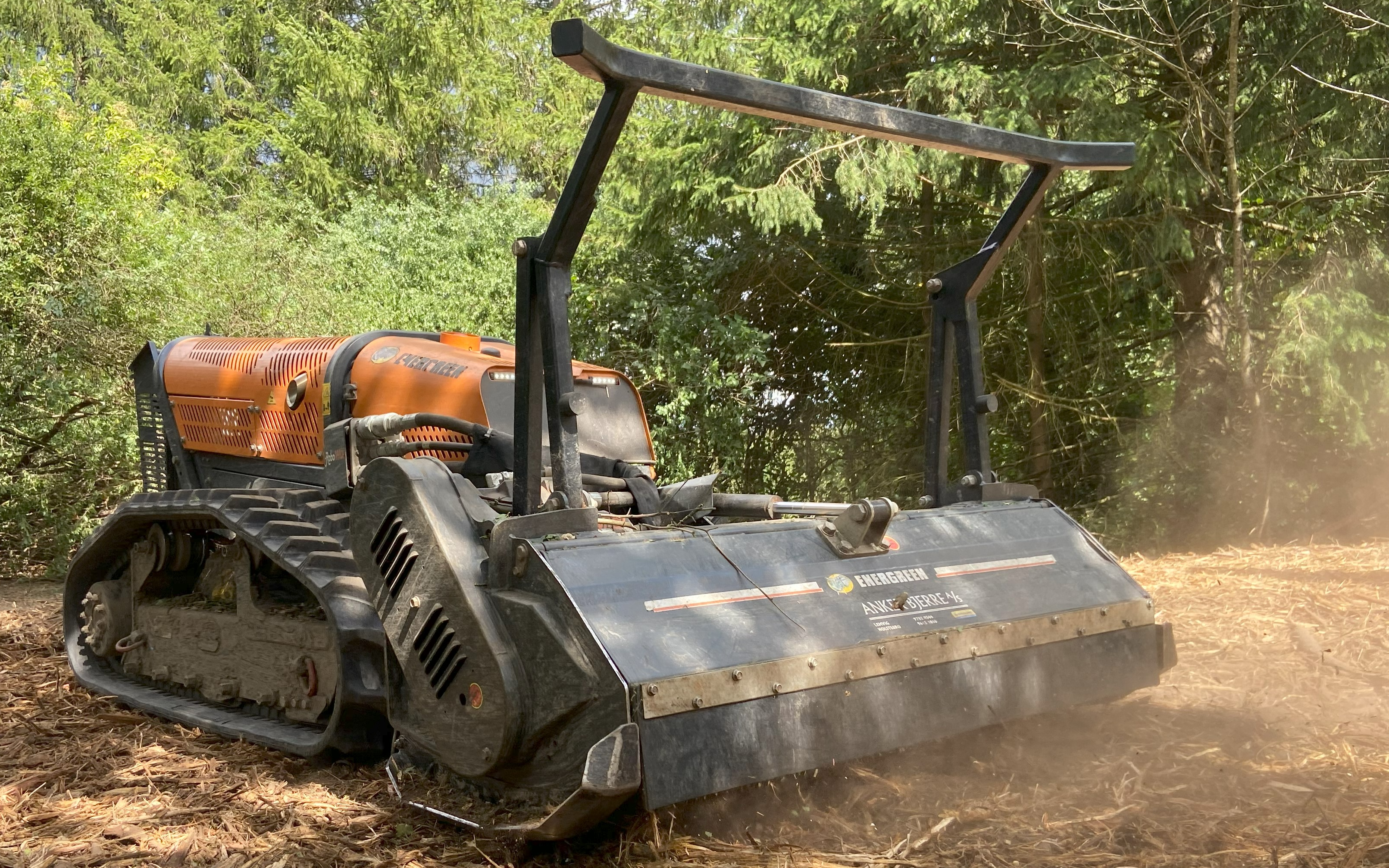 Woodcut med Knuser ved Sorø