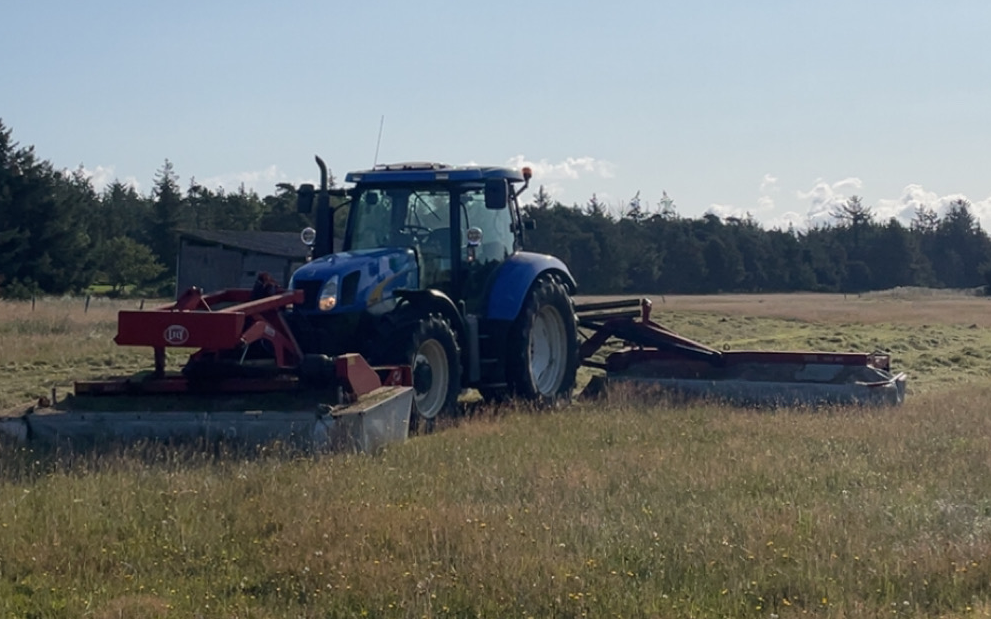 Marktech med Skårlægger ved Janderup Vestj