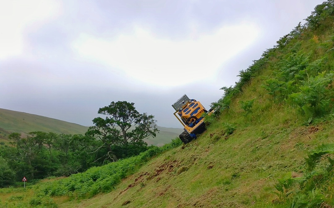 Curlew services  with Verge/flail Mower at Northumberland