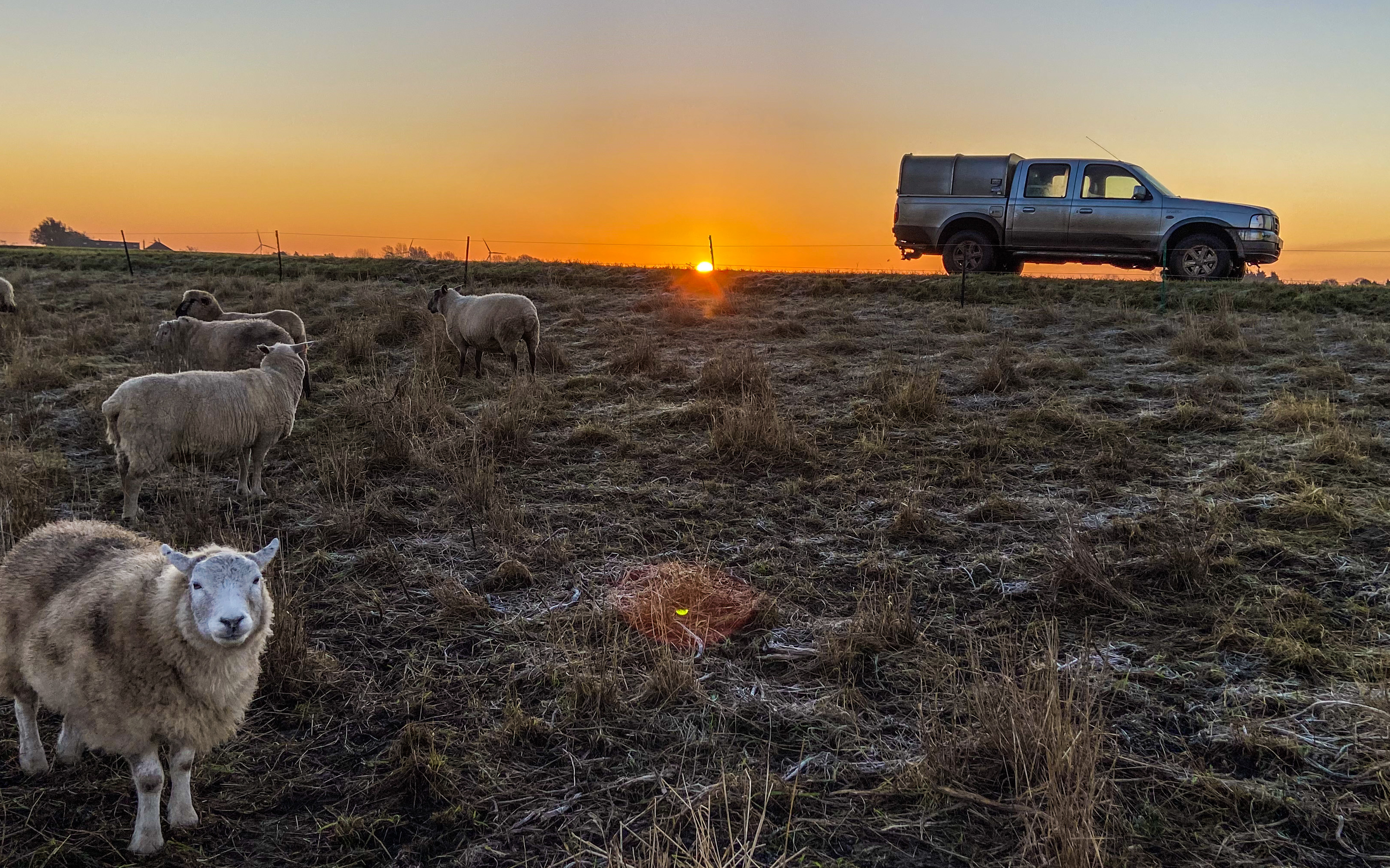 Mf styles stock & agri services with Livestock contracting at Whittlesey