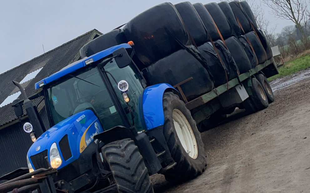 Marktech med Halmvogn ved Janderup Vestj