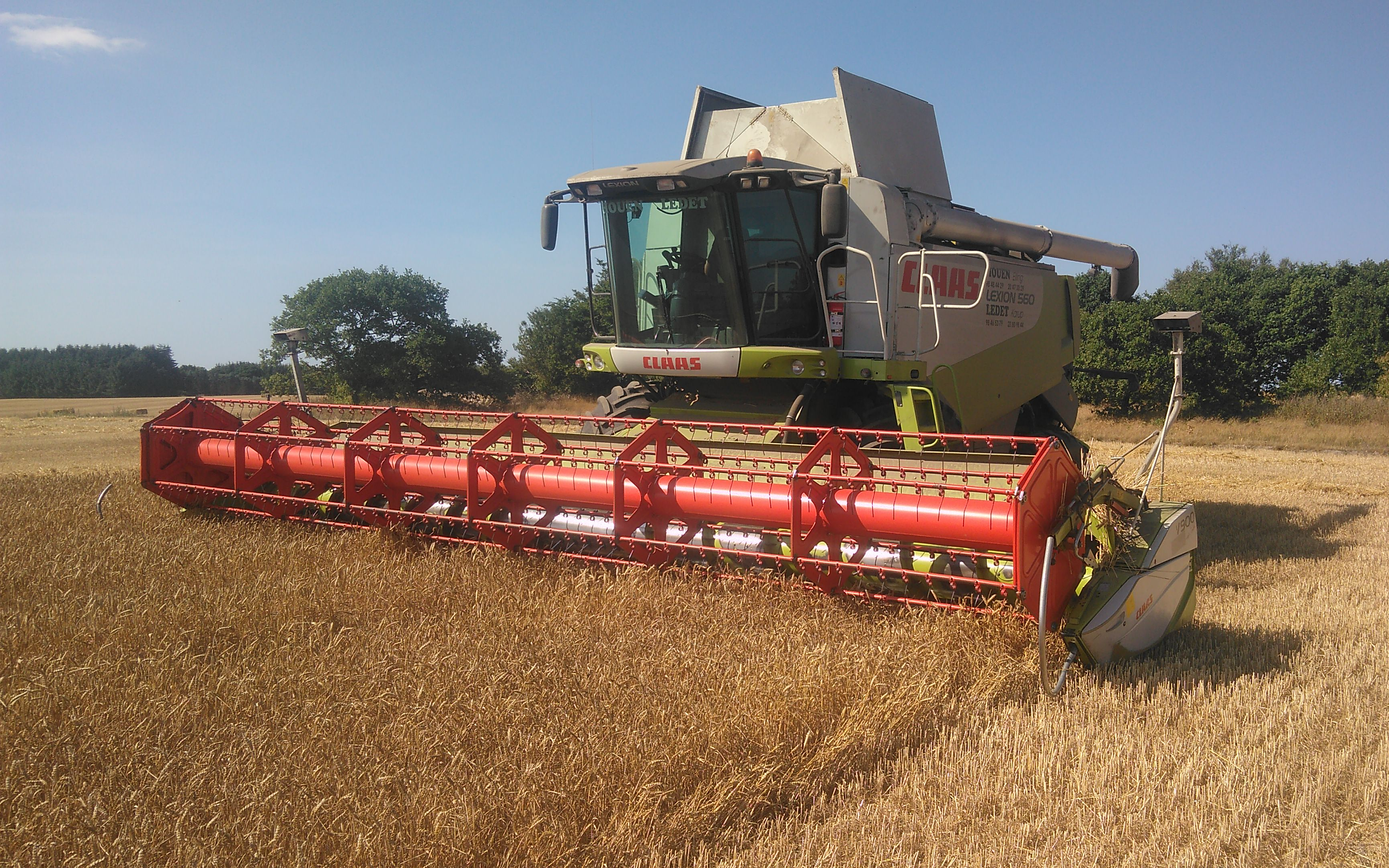 Houen markservice med Mejetærskning ved Frederikshavn