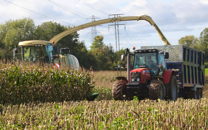 Alternative fertiliser solutions  with Forage harvester at Sutton Benger