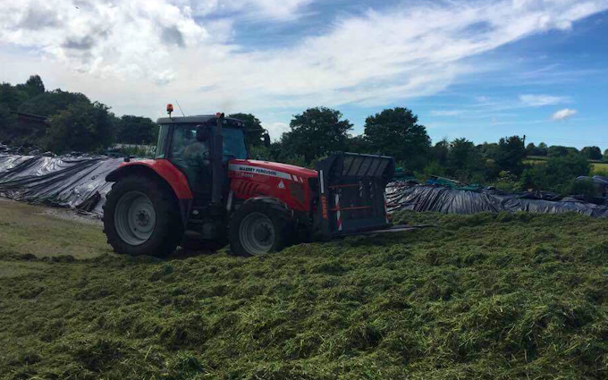 Tovey agri contracting  with Forage harvester at West Harptree