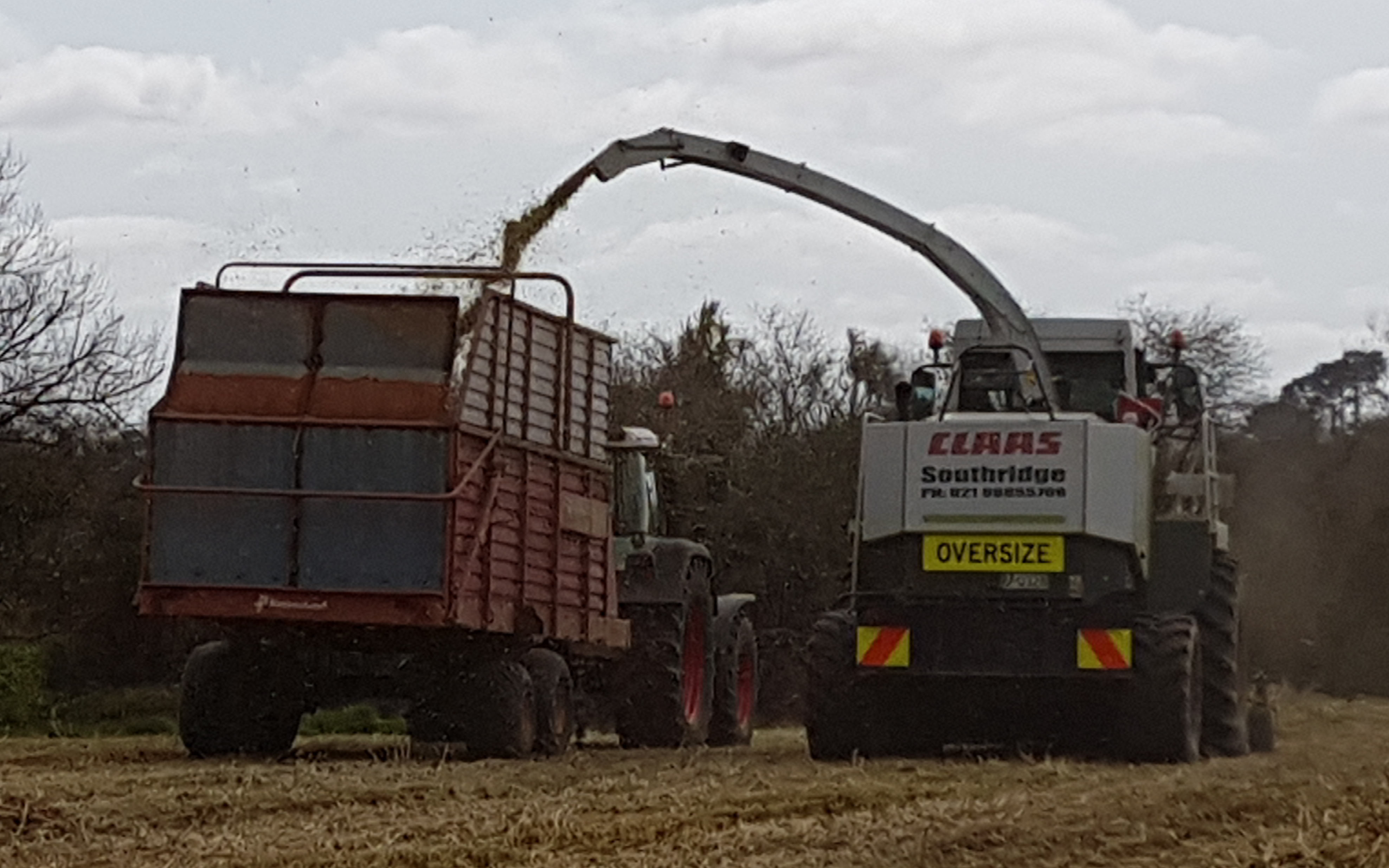 Southridge contracting with Forage harvester at Te Ohaki