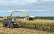Trivett & son with Forage harvester at Baxterley