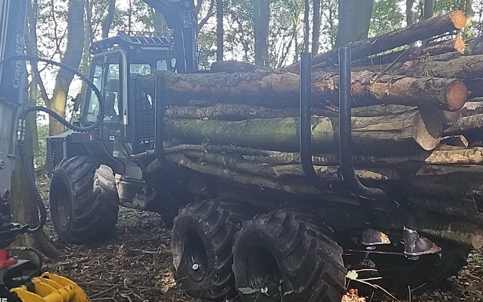 Skovsporet med Udkørsel/Udslæbning ved Bjerringbro