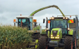 Kalin contracting ltd with Forage harvester at Manaia