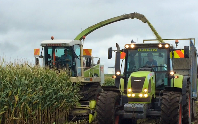 Kalin contracting ltd with Forage harvester at Manaia