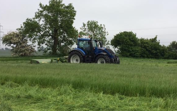 Allison's of liverton with Mower at Liverton