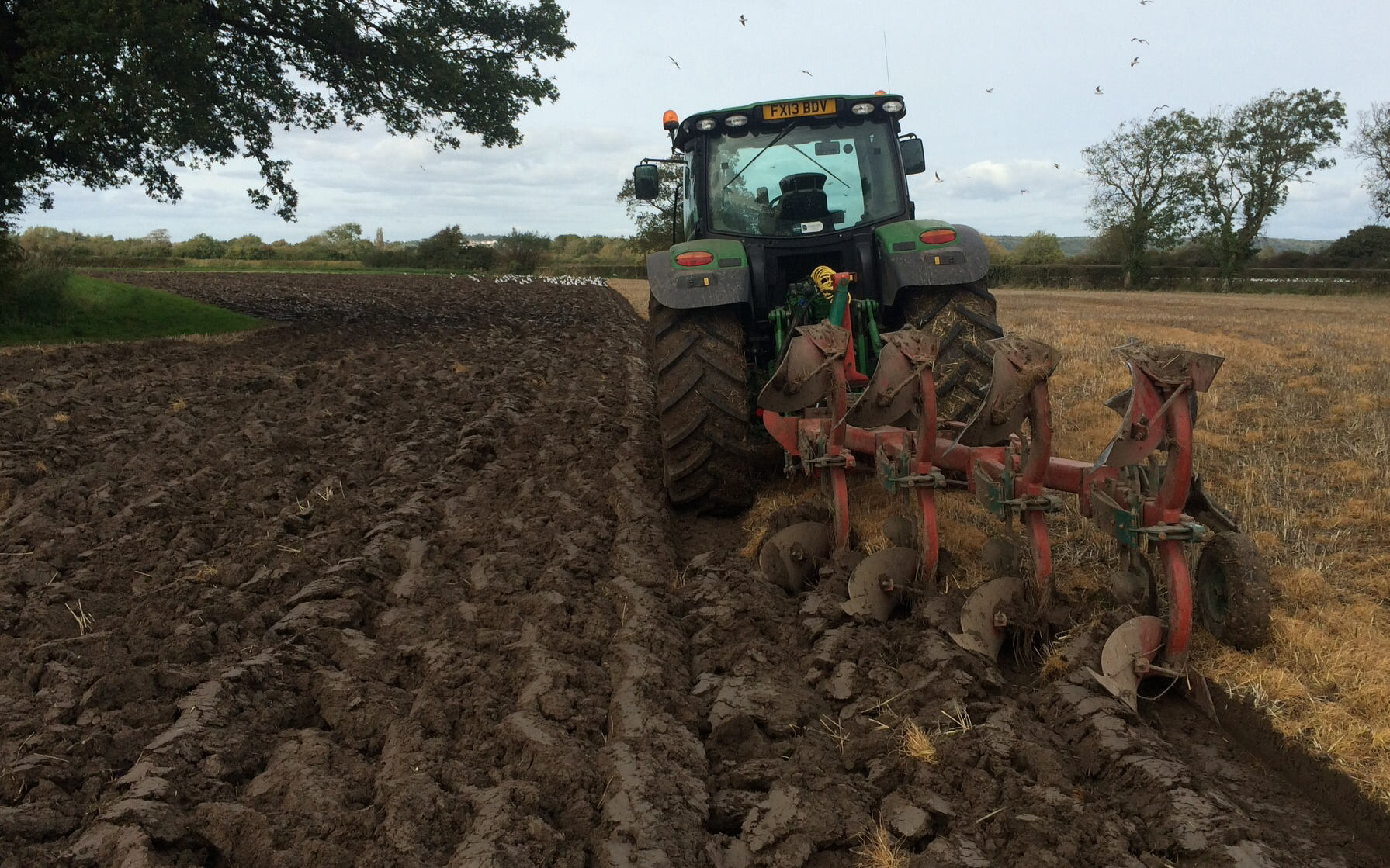 A c harris contracting  with Plough at Kingston Seymour