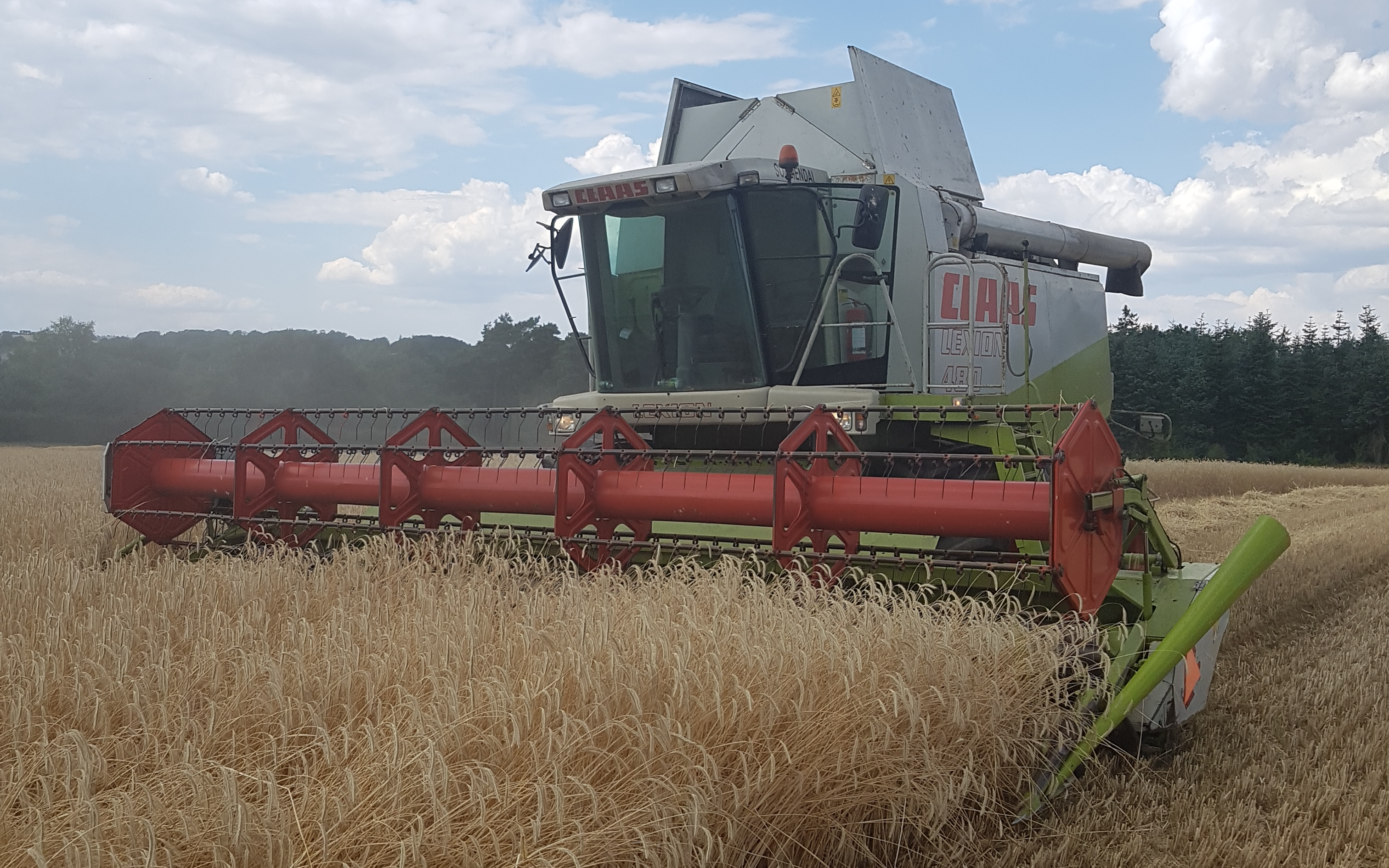 Sophiendal gods med Mejetærskning ved Skanderborg