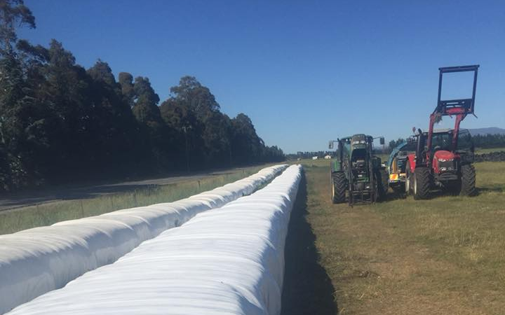 Mid canterbury baling ltd with Large square baler at Cavendish