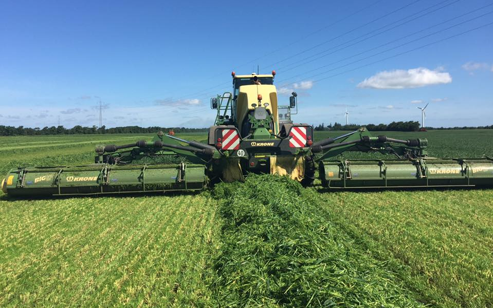 Hans tobiasen med Skårlægger ved Ribe