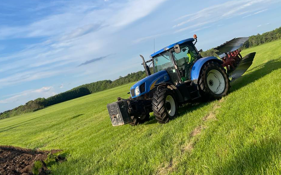 Marktech med Plov ved Janderup Vestj