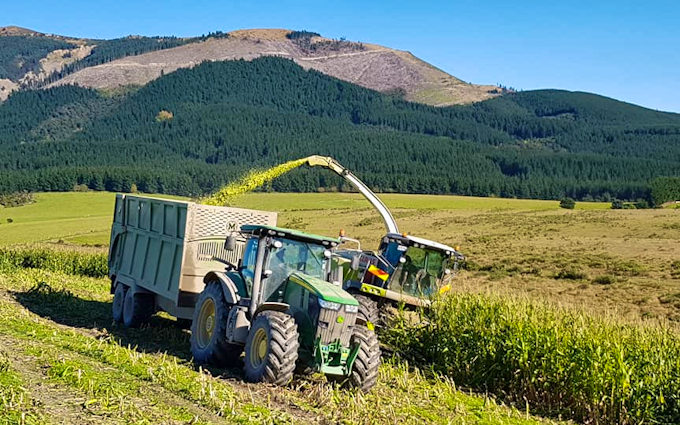 Chapman agriculture ltd  with Forage harvester at Cust